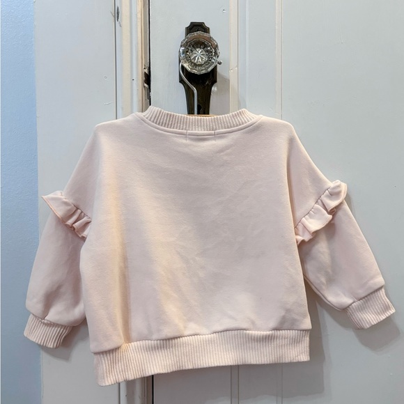 Bencer & Hazelnut dinosaur expert sweatshirt - Picture 2 of 4